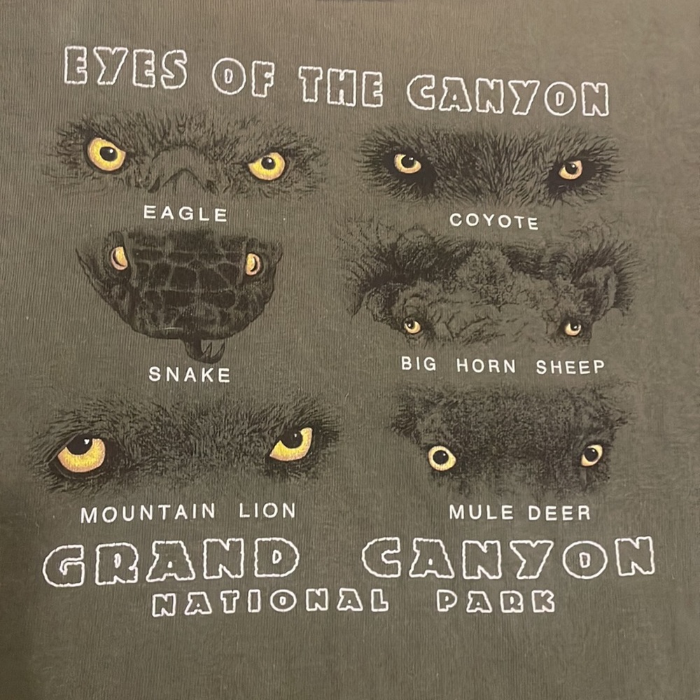 Vtg Prairie Mountain eyes of the Grand Canyon national Park T-shirt size 14 16